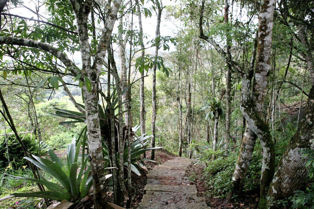 Aroso Paco Hotel Pedra Azul  Exteriér fotografie A trail in the park